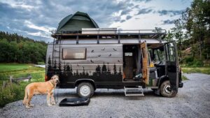 vanlife with pets