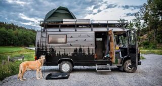 VanLife with Pets: 12 Couples Travelling with Pets