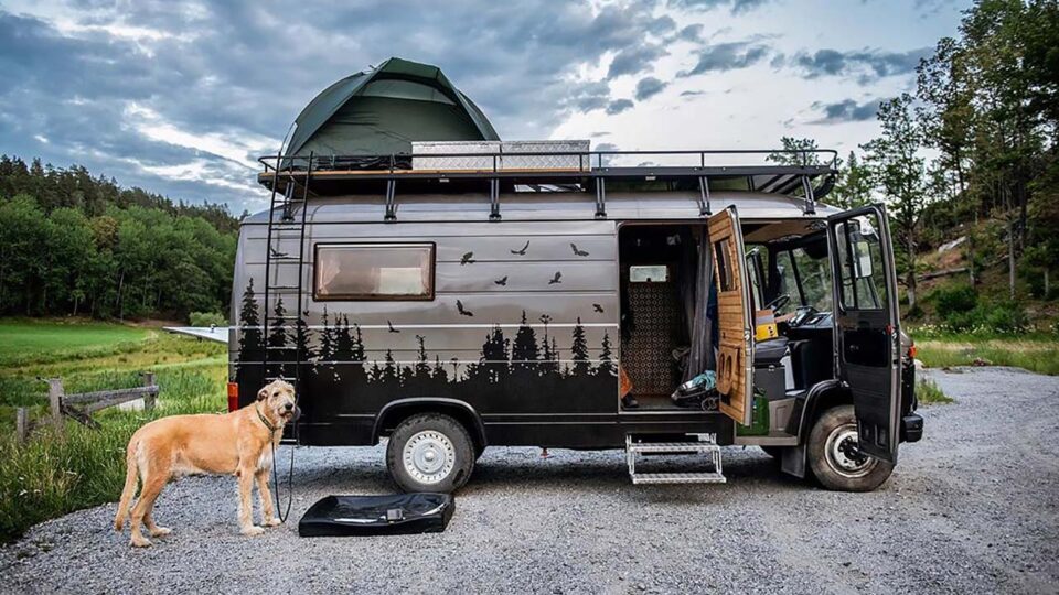 VanLife with Pets: 12 Couples Travelling with Pets