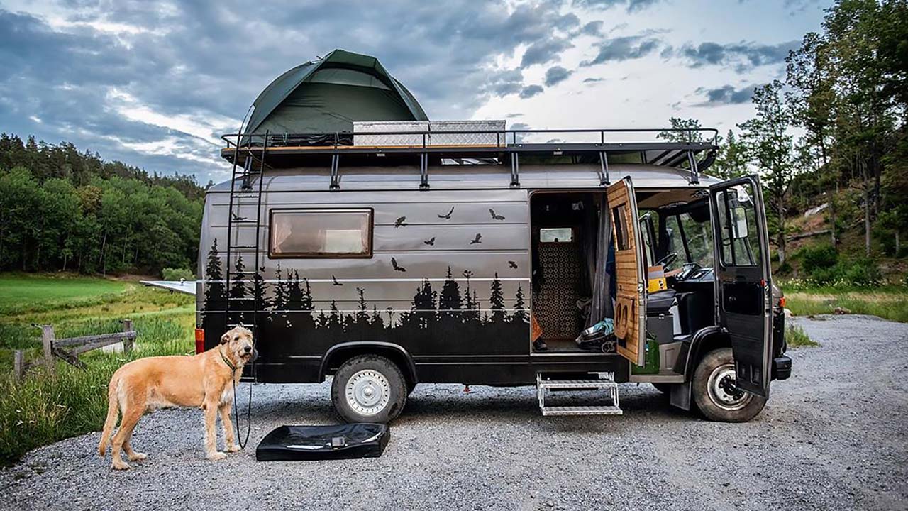 vanlife_with_pets