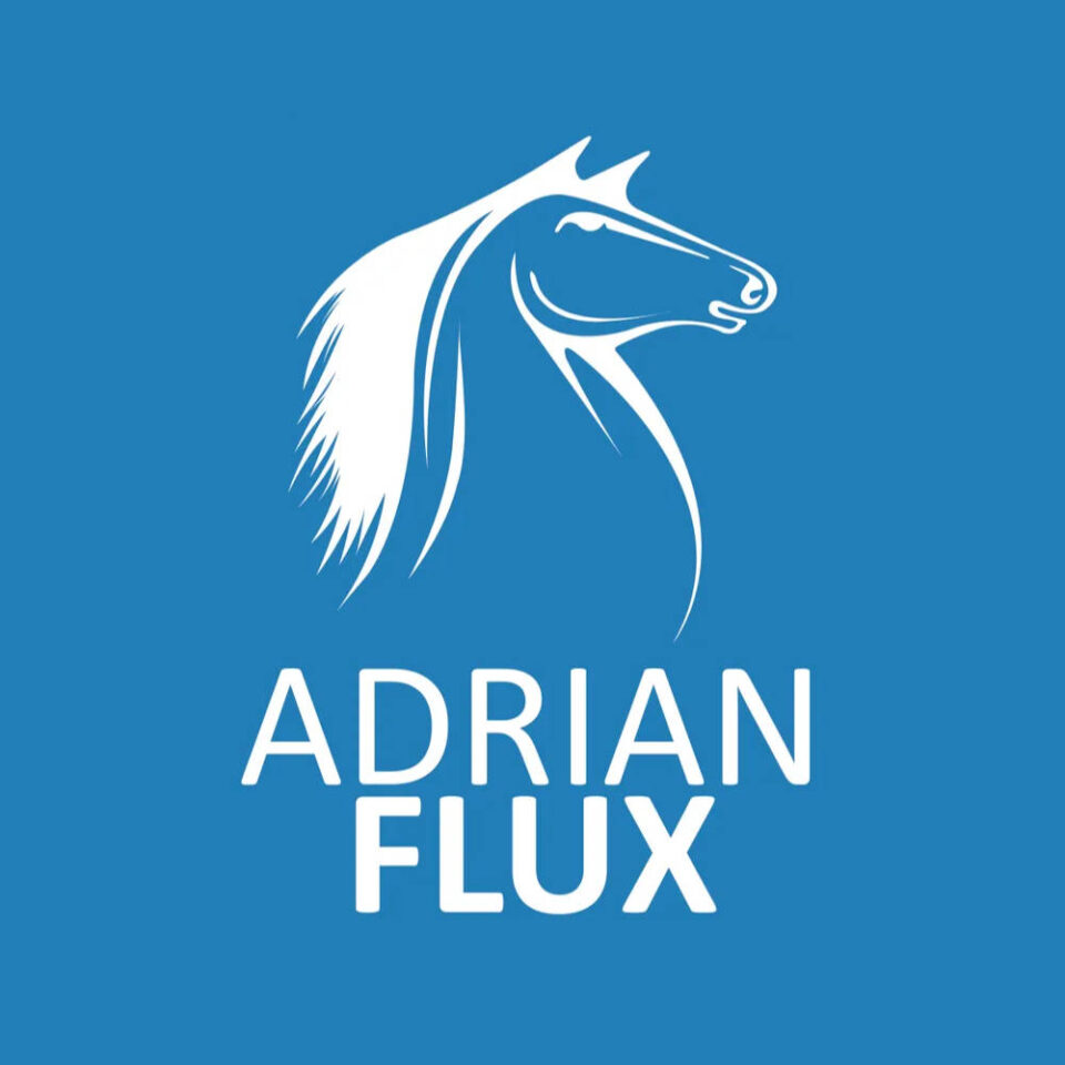 Campervan Insurance Adrian Flux Logo