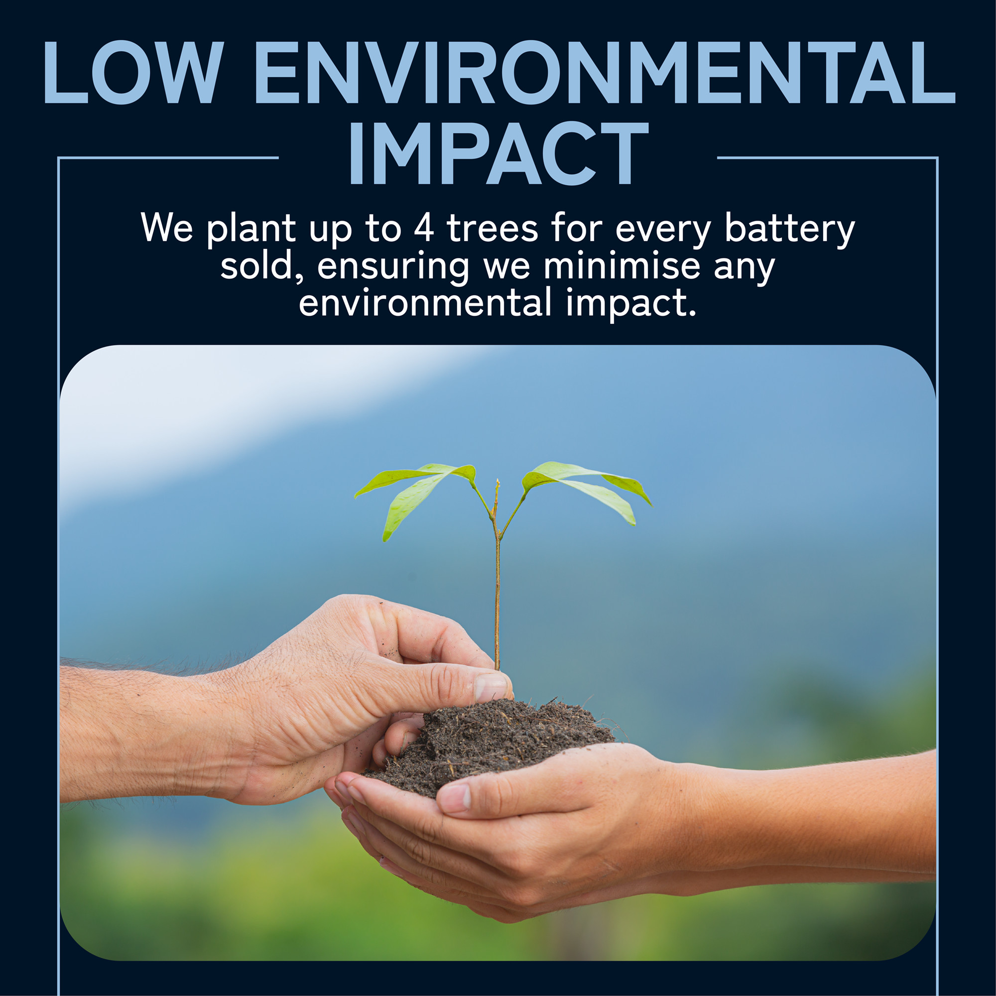 Premium Lithium Ltd | The Best LiFePO4 Battery For Vanlife? 13 Planting trees lifepo4 lithium battery for vanlife